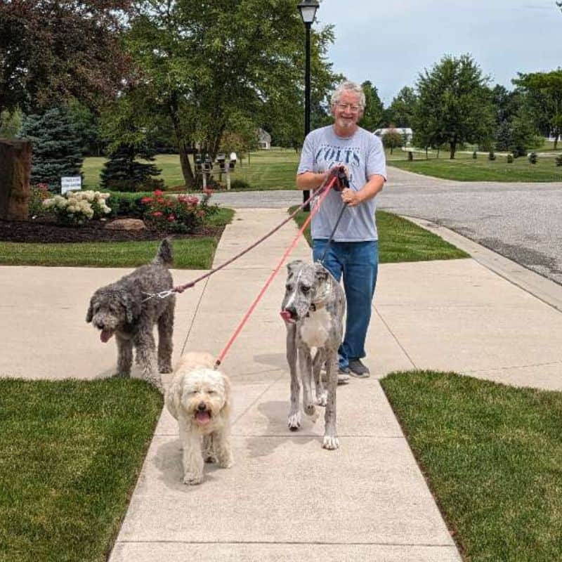 meet and greet TLC In-Home Pet Care