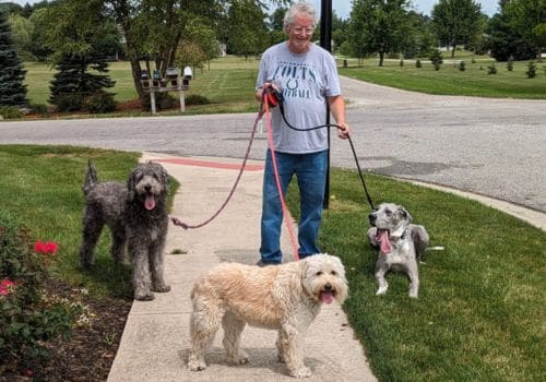 Dog Walking in Fort Wayne & Huntertown areas Since 2014