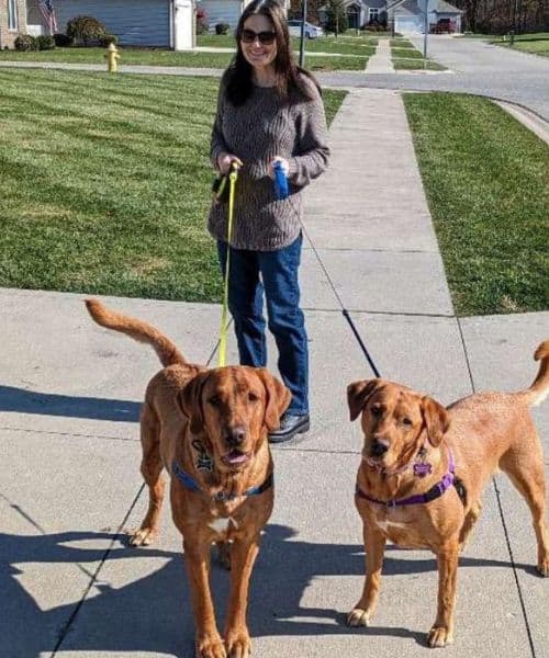 Professional Dog Walking and Pet Sitting Fort Wayne Huntertown